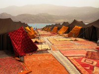 Travel Incentives: set up with Berber tents in Morocco