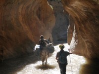 Custom travel in Morocco: horseback riding