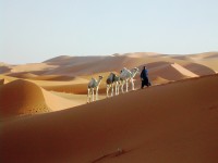 Guided excursion in the Sahara of Morocco