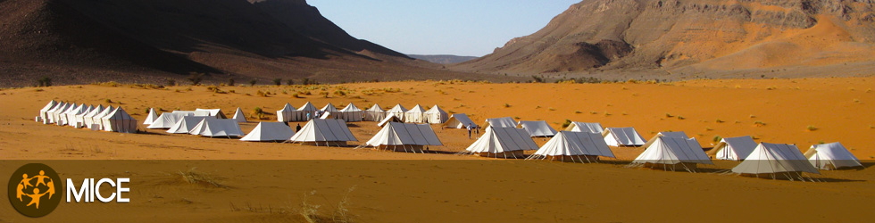 Team Building program in Marocco’s desert